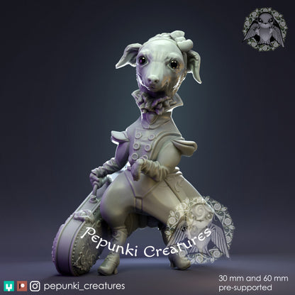 Pepunki Creatures - Elegant Italian Greyhound