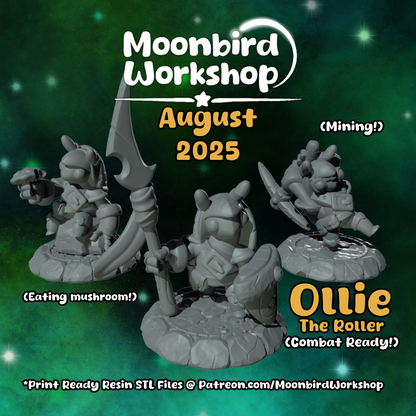 Moonbird Workshop - Ollie the Roller
