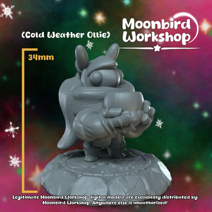Moonbird Workshop - Winter Series