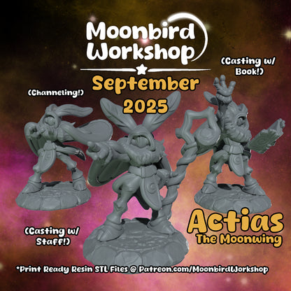 Moonbird Workshop - Actias the Moonwing