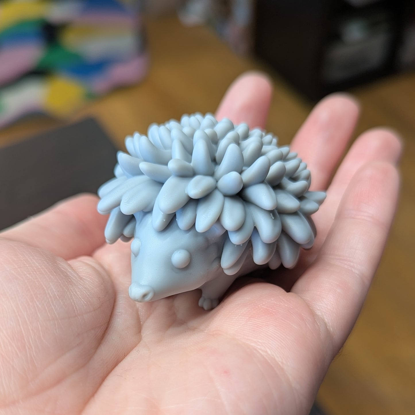 FFA - Palace Gardens - Chrysanthemum Hedgehog